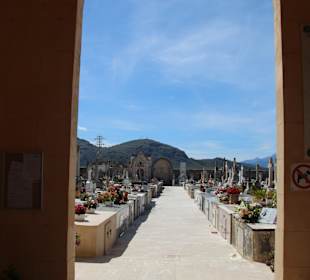 Vorsichtiger Blick auf den Friedhof von Alcudia