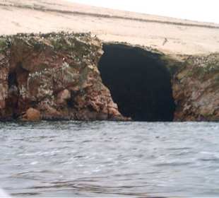 Îles Ballestas