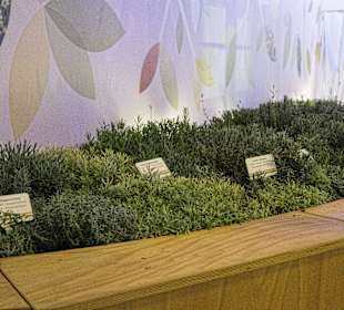 Beet im deutschen Garten