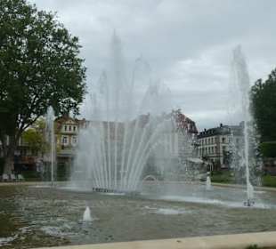 Im Rosengarten von Bad Kissingen