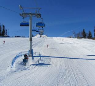 Pasieka - Pasieka Express