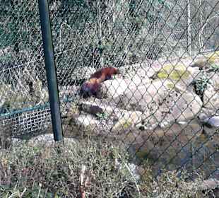 Tierpark Hellabrunn in München