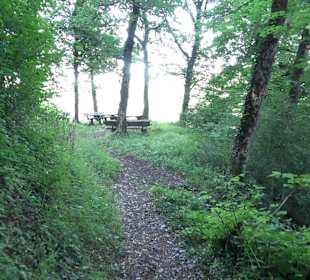 Burgruine Andeck Talheim