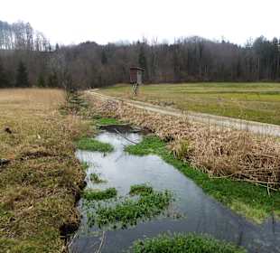 Naturschutzgebiet Kupferbachtal