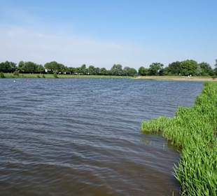 Eindrücke vom Werdersee im Frühling