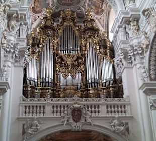 Die Orgel
