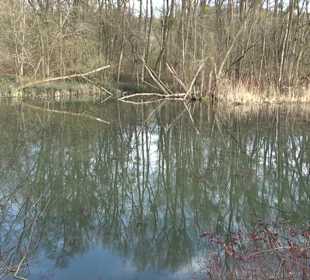 Kirchentellinsfurter Baggersee