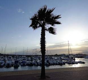 Atardecer en el puerto