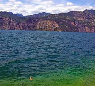 Die Aussicht von der Mauer aus