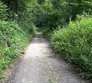 Sonnenaufgangs-Rundwanderung Rübgarten