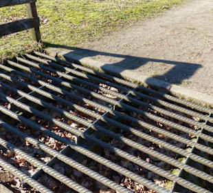 Viegitter