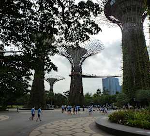 Gardens by the Bay