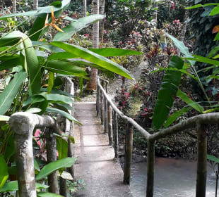 Harni's Plantation