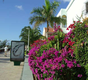 Promenade Playa de Ingles