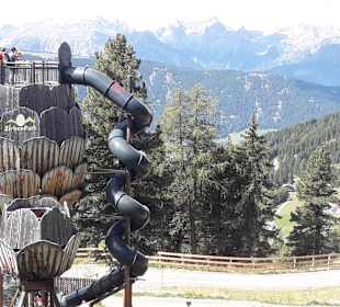 Zirbenpark Hochzeiger