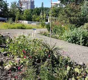 Botanischer Garten 