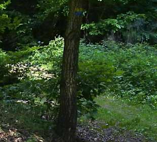 Skulpturenweg Rheinland-Pfalz in Rheinland-Pfalz