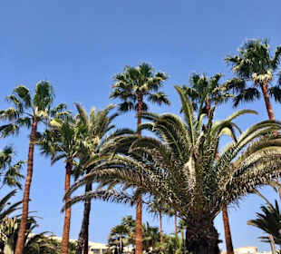 Strand Playa Blanca de Yaiza