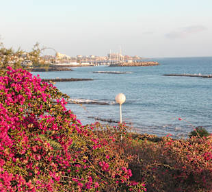Abendstimmung, Promenade Playa de Duque
