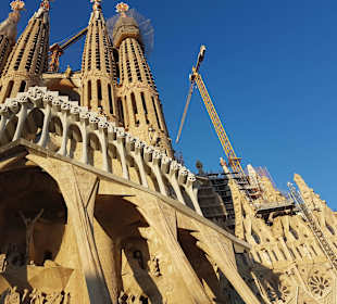 Katedra Sagrada Familia