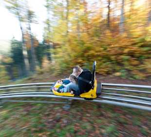 Sommerrodelbahn Thale