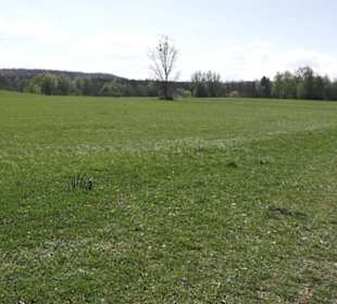 Sport- und Freizeitpark Markwasen