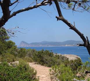 Spazierweg rechts oberhalb des Bootsanlegers