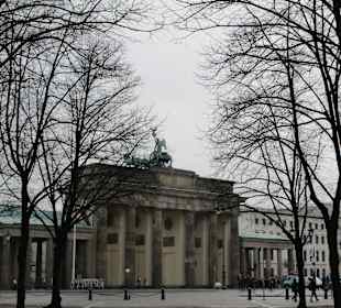 Brandenburger Tor  - Vom Tiergarten aus