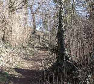 Wanderung Florianrunde