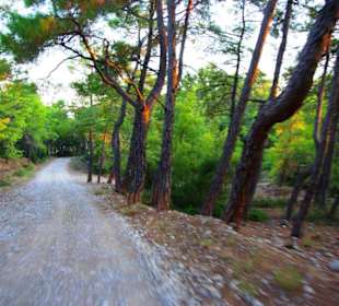 Sulahikulle - Vergessene Stadt