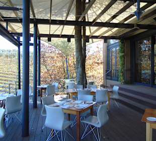 Weingut Tokara in Stellenbosch