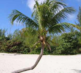 Xanadu Beach