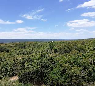 Addo Elephant Park