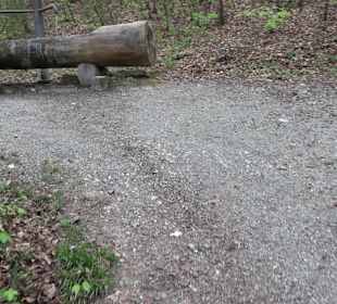 Wasserstelle im Rammert