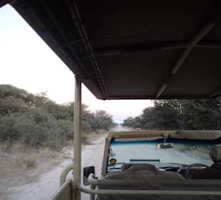 Etosha