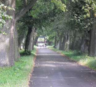 Muzeum Henryka Sienkiewicza Oblęgorek