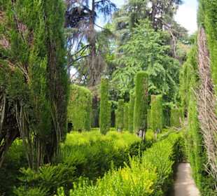 Gartenanlage (Irrgarten)