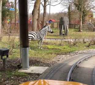 Land der Abenteuer - Safari Tour