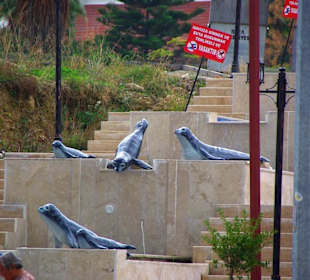 Aufgenommen vom 25.-29.11. Neu