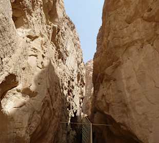 Tima-Tal, Negev