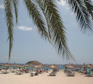 Strand von Magaluf