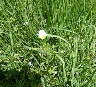 Unterwegs auf der Ostheimer Streifberg-Tour