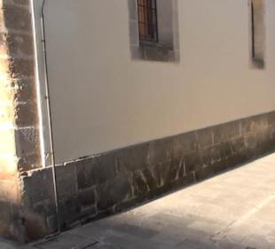 Museu Monogràfic de Pol·lèntia