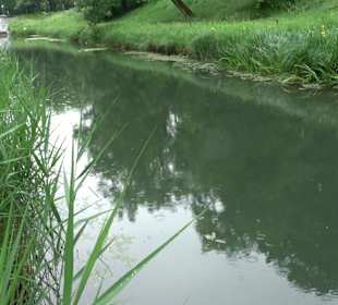 Fischlehrpfad Neu-Ulm