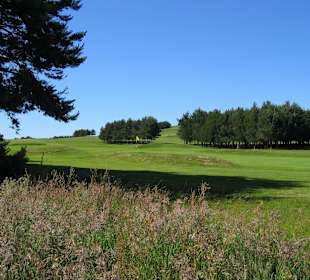 The 14th Green "Last Drop"