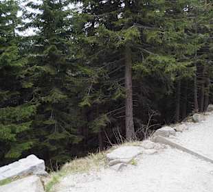 Berg Schneekoppe/Śnieżka