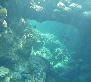 Unterwasser (Hotel Utopia Beach)