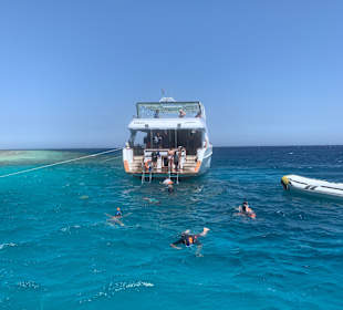 Schnorcheln Makadi Bay