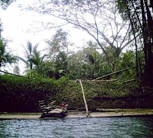 Ausflug auf dem Great River  Jamaica