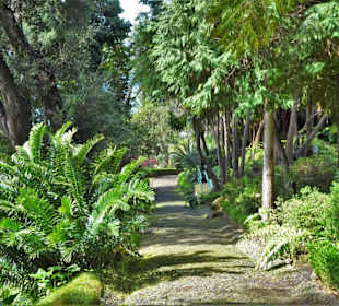 Rundgang durch den Monte Palace Tropical Garden